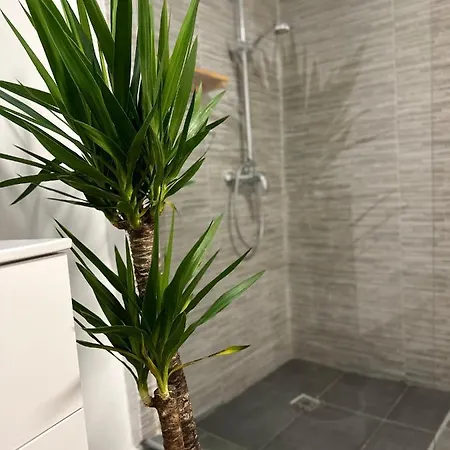 Appartement Turqoise Boekarest