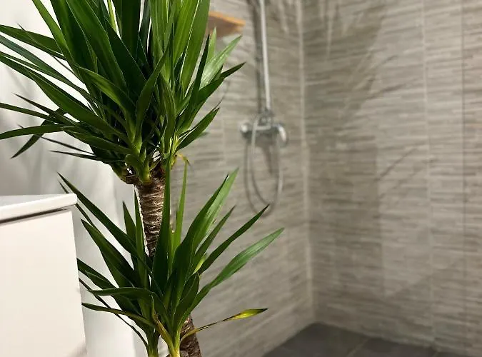 Апартаменти Turqoise Бухарест